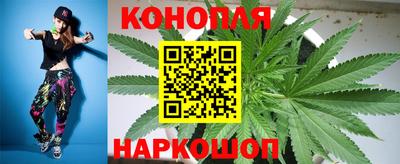 индика Татарск