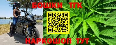 индика Татарск